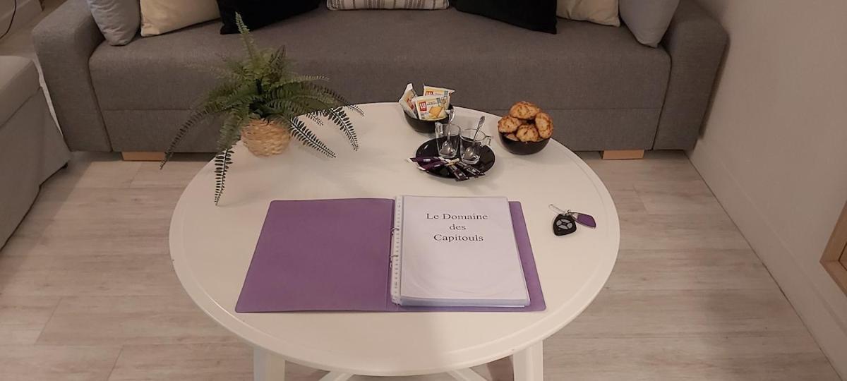Apartmán Les Capitouls - Avec Entree Autonome, Clim Neuve, Jardin, Parking Prive & Sa Piscine ! - Toulouse Exteriér fotografie