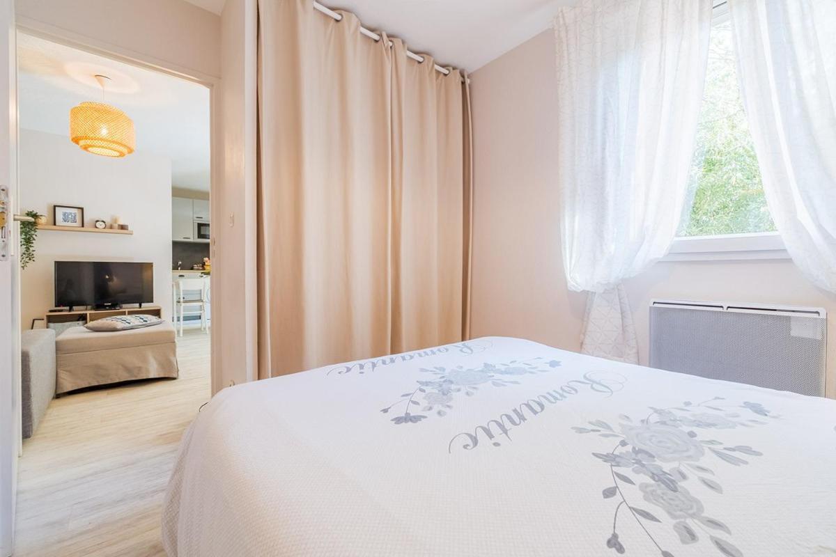 Apartmán Les Capitouls - Avec Entree Autonome, Clim Neuve, Jardin, Parking Prive & Sa Piscine ! - Toulouse Exteriér fotografie